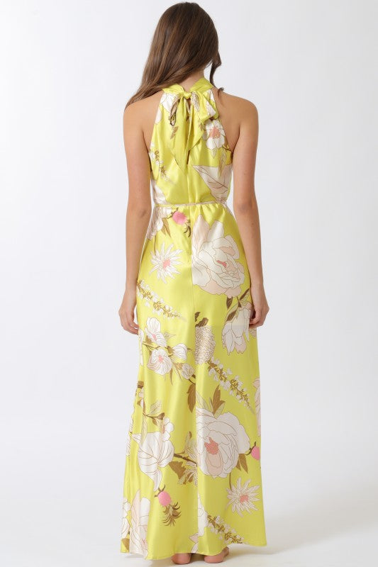 Elegant Long Dress with Fitted Waist and Flowy Silhouette