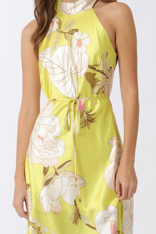 Elegant Long Dress with Fitted Waist and Flowy Silhouette