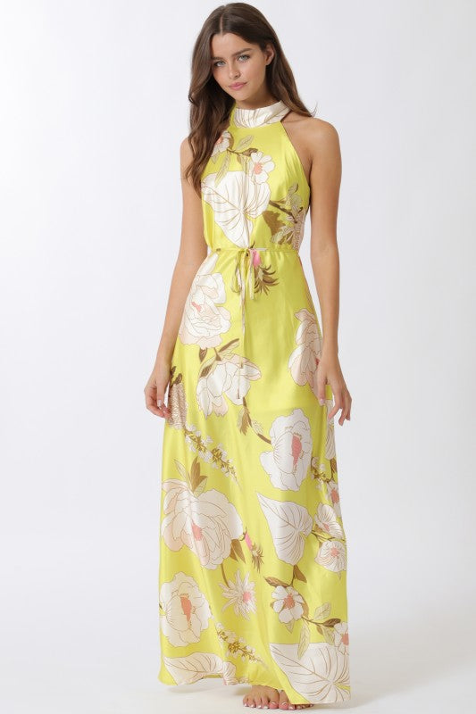 Elegant Long Dress with Fitted Waist and Flowy Silhouette